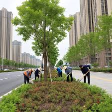 2026世界杯官网 宜兴园林绿化工程施工单位