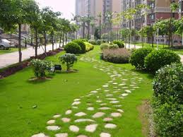 提高城市绿化建设